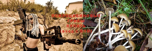 прущие крисы Баксан