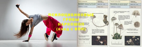 2c-b Балабаново