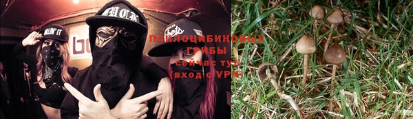 Альфа ПВП Балахна