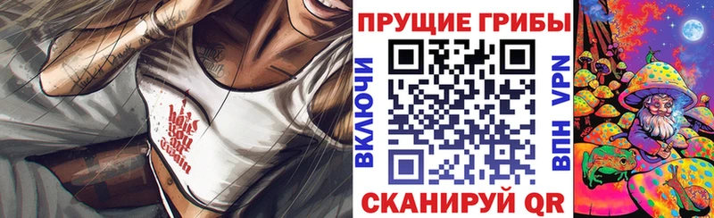 наркошоп  Порхов  Галлюциногенные грибы Magic Shrooms 